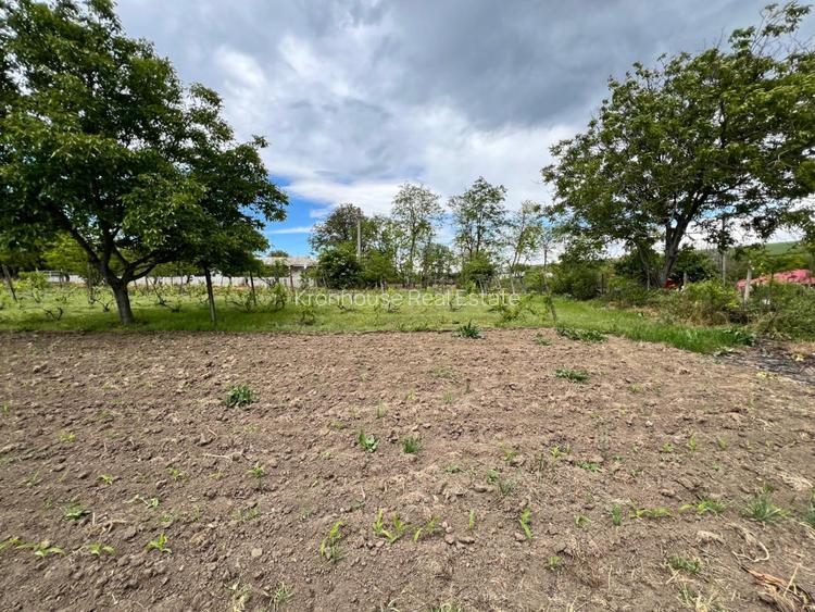 Casa + teren 4430 mp, vie si pomi fructiferi, 22 km de Tecuci - 32