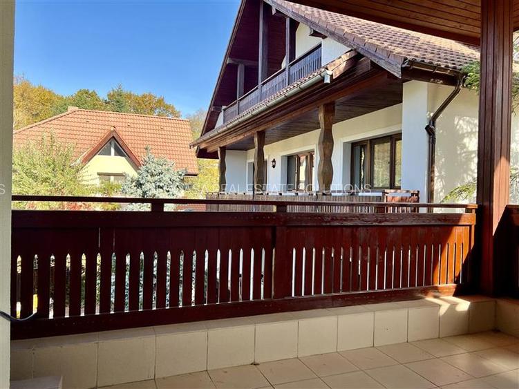 Vila la marginea padurii | curte superba | Iancu Nicolae - 40