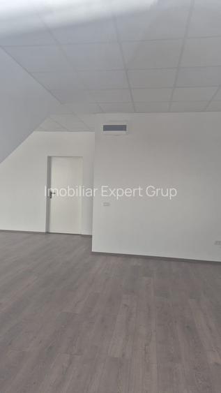 Spatiu depozitare si productie Soseaua de centrua Chitila - 17