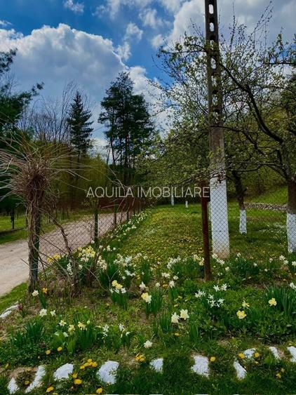 Teren intravilan 5660 mp - 5