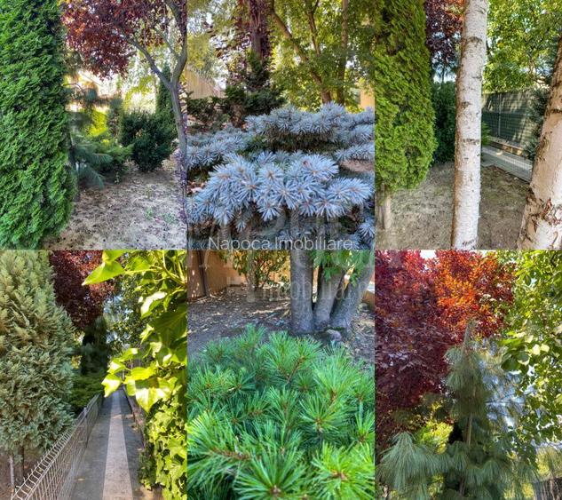 Apartament 4 camere de vanzare in Centru, Cluj Napoca - 20