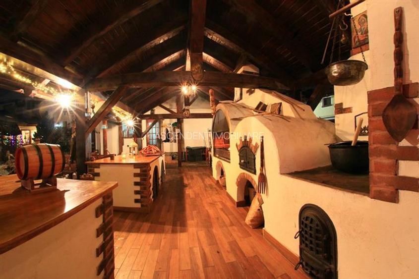 Hotel Bielmann,unicitate si profitabilitate optima in turism,Sanpetru, Brasov - 37