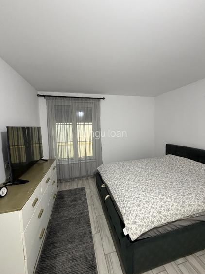 Casă + spațiu comercial de vânzare – proprietar persoană fizică – teren  - 15