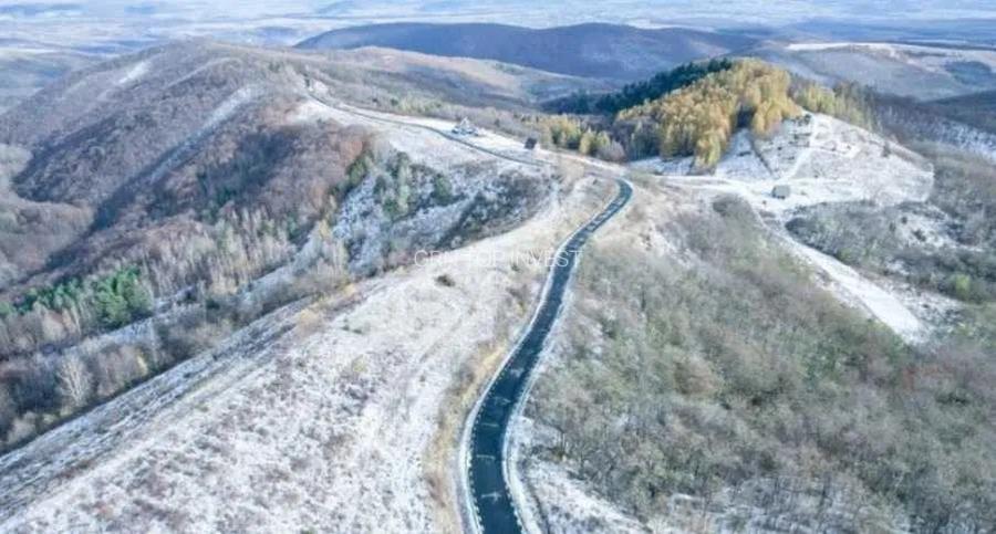 2 parcele de 4265 mp 2804 mp extravilan Transapuseana, sat Macaresti - 4