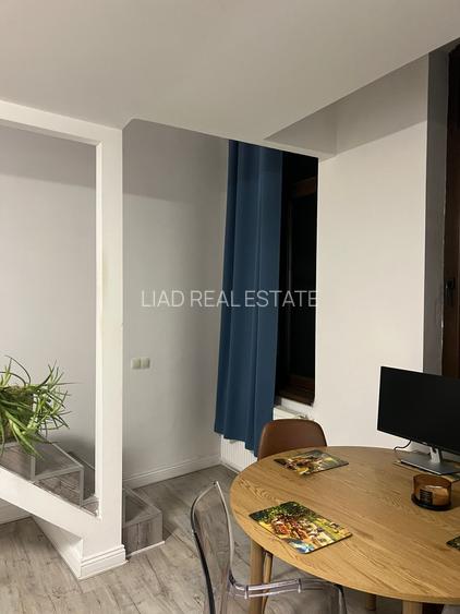 Apartament 2 camere de inchiriat in vila, cu gradina - 18
