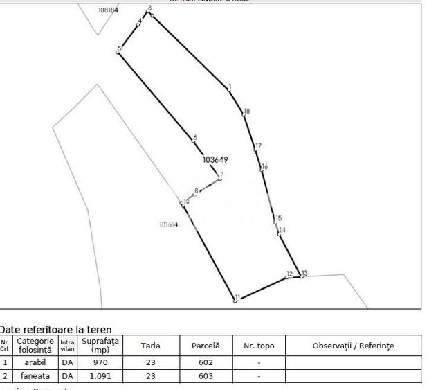 Teren constructii casa/cabana 2000 mp Valea Hrtibaciului Nucet - 2
