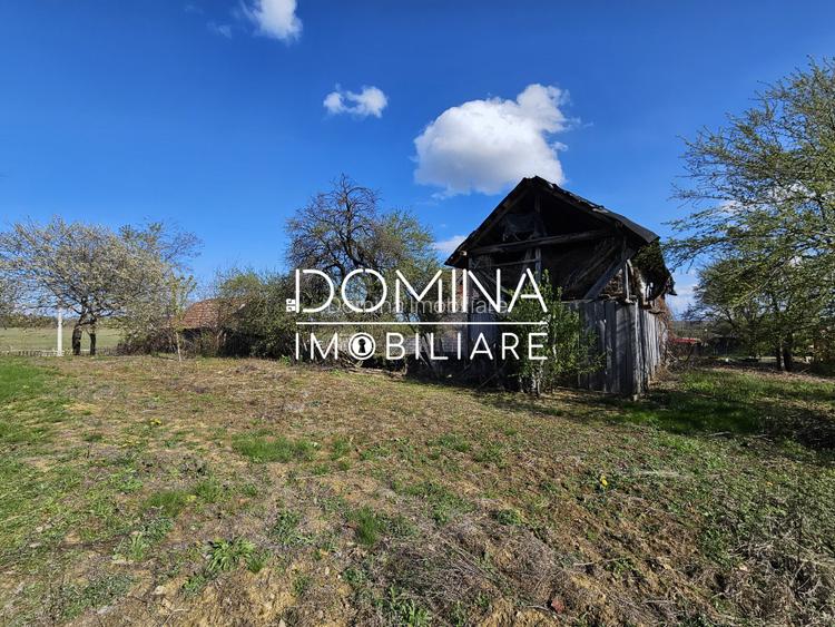 Vanzare teren 4606 mp - Sat Balta - Runcu - la aproximativ 20 km de Targu Jiu - 6