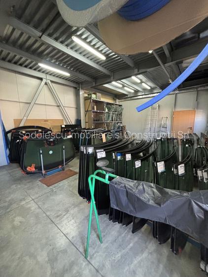 Hală,birourii/depozitare în zona Lugojului - 5