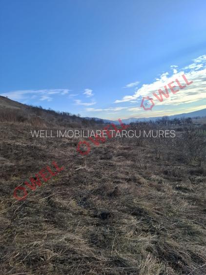Teren de vânzare în Fântânele – locație excelentă! - 4