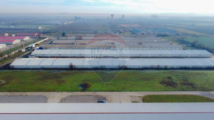 De vânzare – 2 hale industriale, 5.050 mp utili, Palota - 3