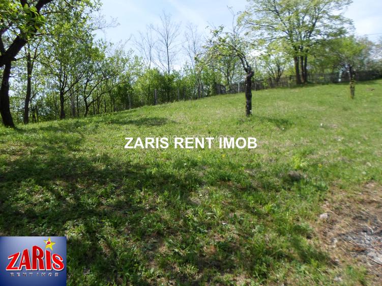 Vanzare 3658 mp teren intravilan in Predeal-Sarari, Prahova - 7