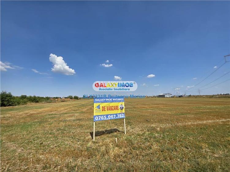 Teren 25395 mp situat in comuna Clinceni aproape de zone Rezidentiale - 12