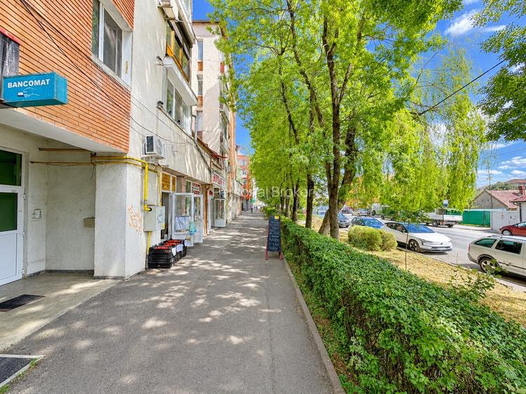 Apartament 4 Camere cu Doua GARAJE - Zona LIPOVEI - 0%COMISION - 15