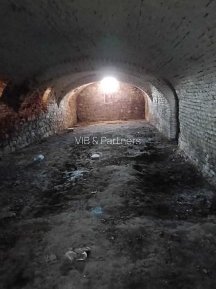 Conac apartinand lui Cicio POP, judet ARAD - 8