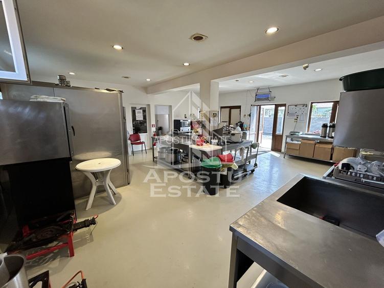 SAD de vanzare in EXCLUSIVITATE, 392 mp, 2693 mp teren, Sacalaz - 9