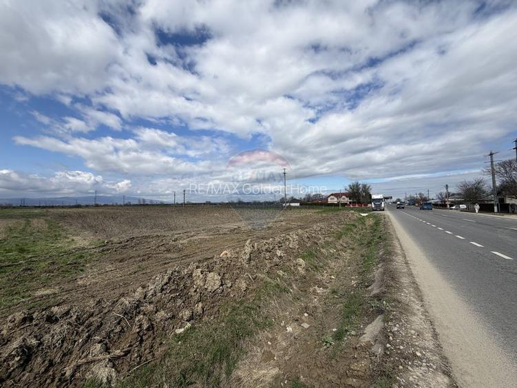 Teren 9,431mp Bizighesti / DJ 205E - 3