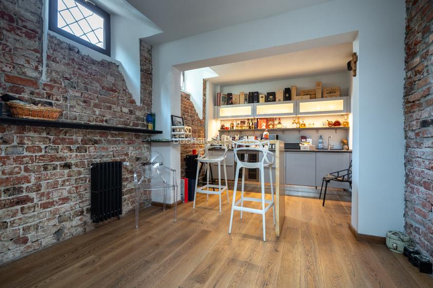 Historical villa Gradina Icoanei area - 20