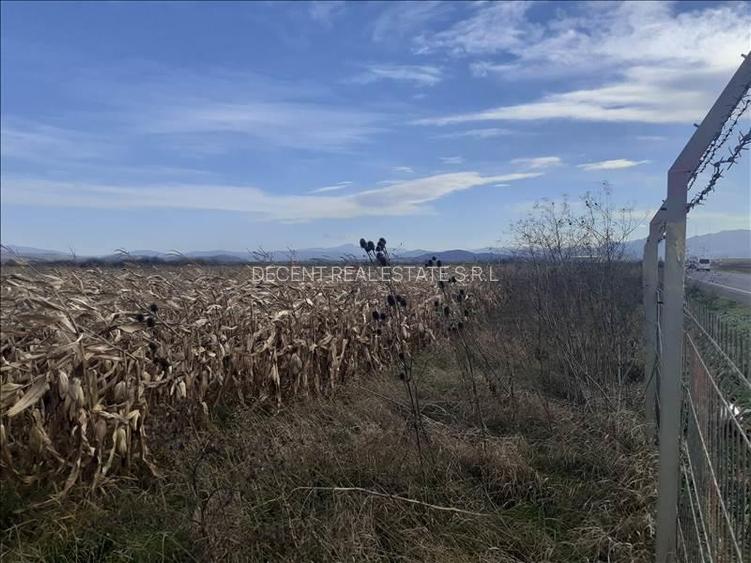 Vanzare teren intravilan, Feldioara, Brasov - 5