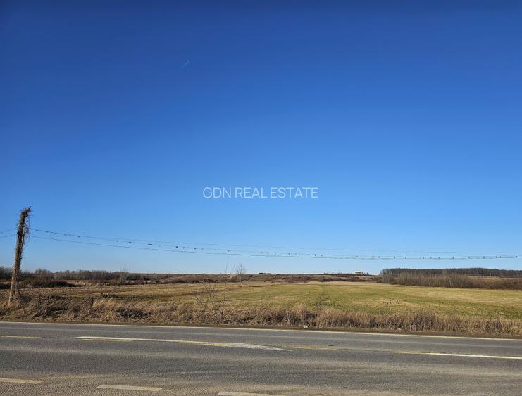 Teren extravilan - constructii, suprafata 49.933 mp, drumul E79, Beius - 9