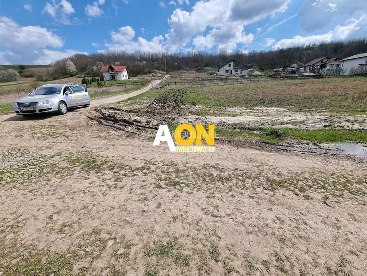 Teren 600mp Ciugud, Strada Iluminata Public - 2