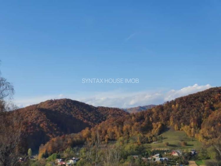 Puciosa Moreni Valea Lunga Sat Izvoru 20000mp teren de vanzare - 7