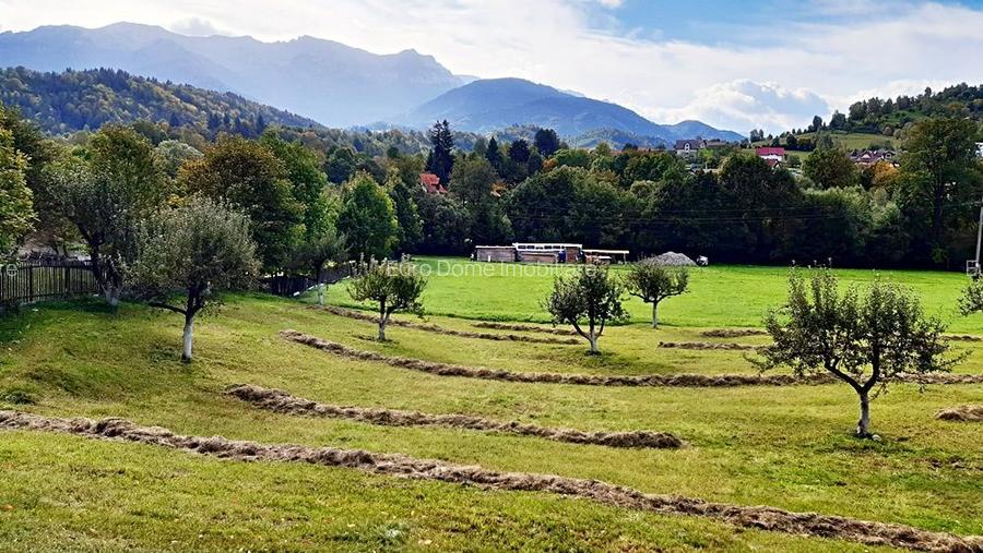 Teren superb de 16240mp, parcelabil, in Bran la intrare in Moeciu de Jos - 3