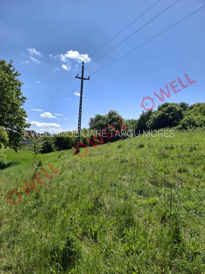 De vânzare teren intravilan de 30 000 m² (3 ha) în Reghin - 5