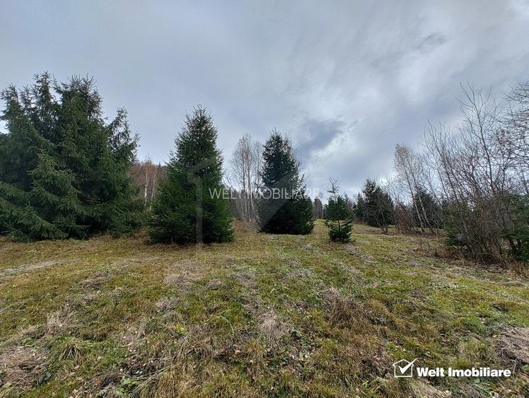 Oportunitate unica! 5ha + 2 cabane de vacanta in Valea Ierii - 5