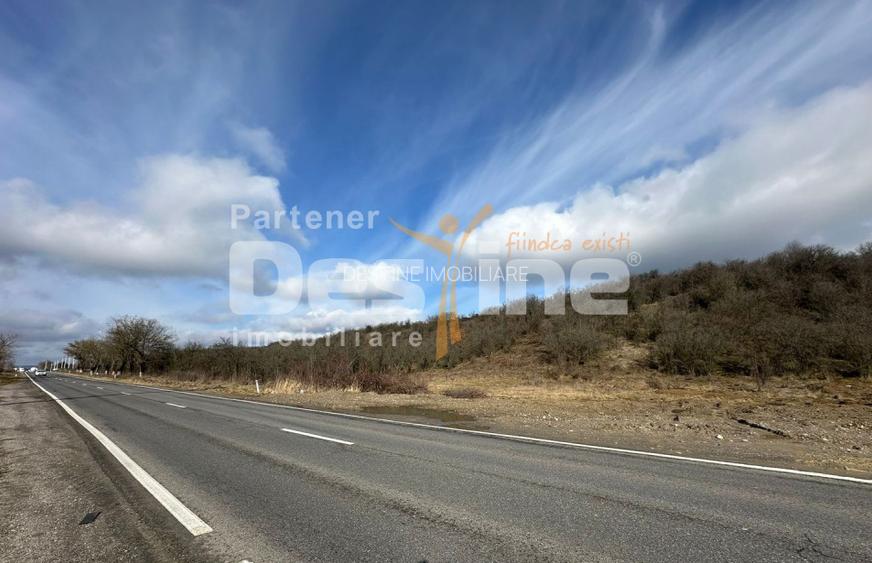 Teren cu potențial industrial și logistic – DN72A, Dragomirești, jud. Dâmbovița - 7