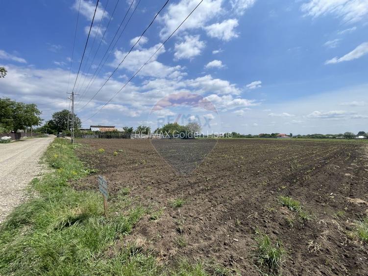 Teren Tifesti / Strada Secundara 47 - 4