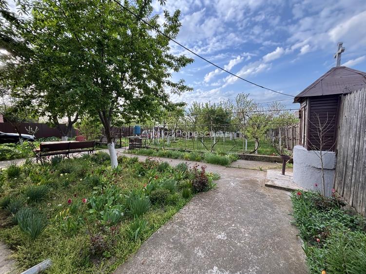 Casa și teren de vânzare Rogova - 6