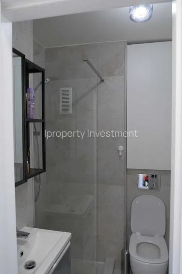 P-ta Victoriei | 4 Camere | Prima Închiriere | X2 Bai | Prox. Metrou | - 8