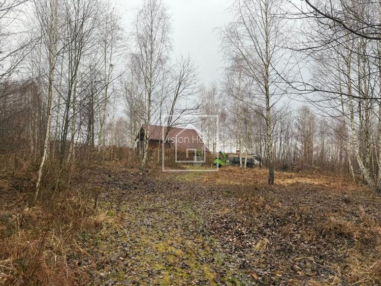 Teren intravilan 520 mp Valea Avrigului ideal cabana A-frame - 5