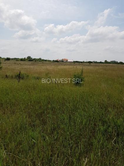 Vand teren - Ronat - 2