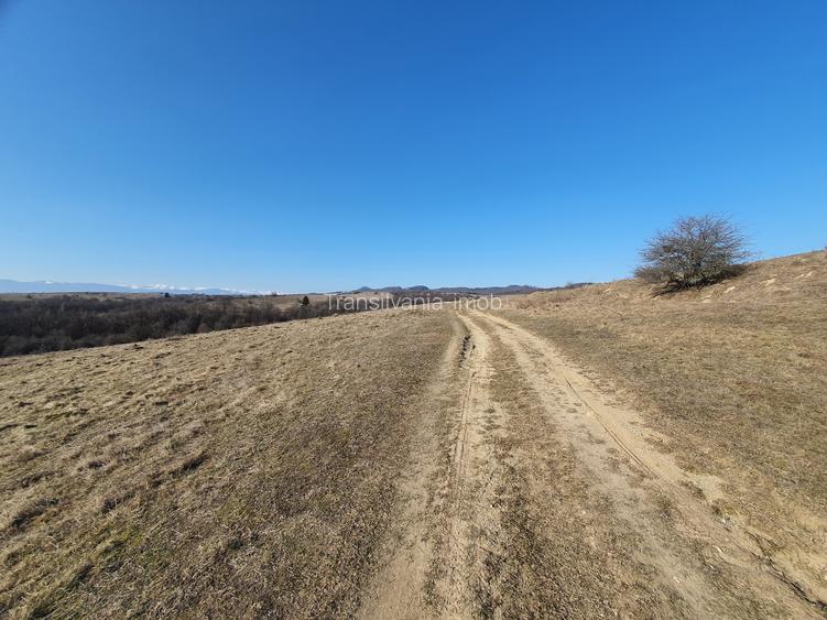 Teren Codlea – Vladeni zona de case cu Puz - 2