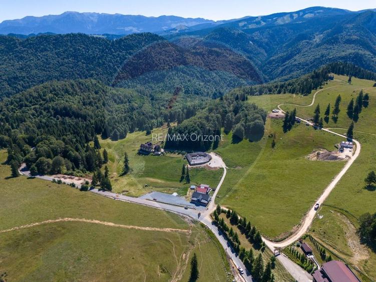 Teren 56599mp Dambovicioara / Soseaua DN 73Dealul sasului! - 8