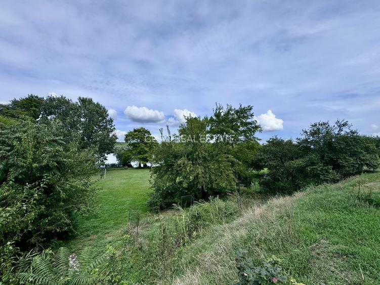 Hotel 20 camere Delta Dunarii 100 m deschidere teren 12000 mp acces auto - 48