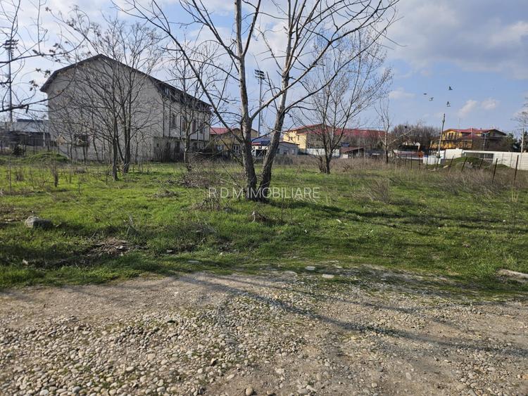 Teren 555mp in Clinceni central Mega Image - 5