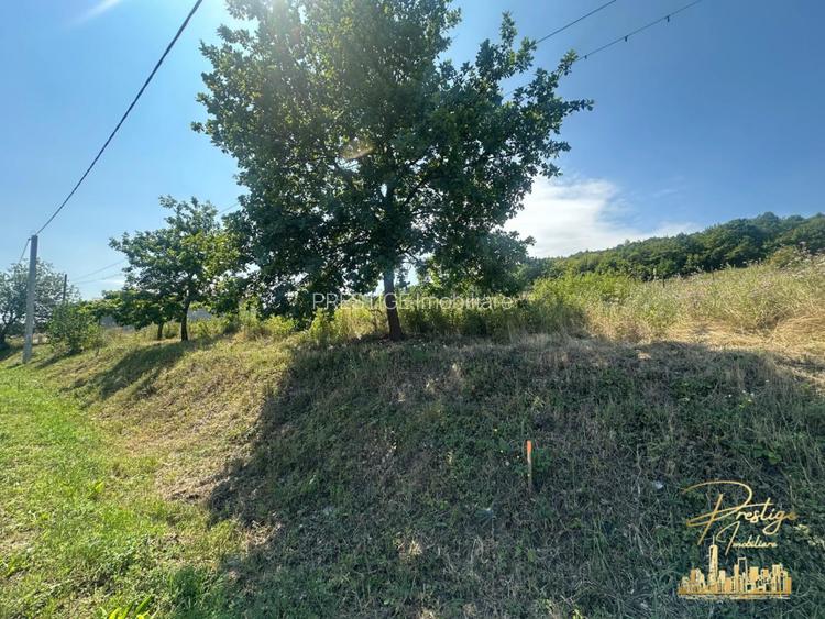 Teren intravilan de 576 mp de vanzare pe drumul DC59 , Haieu - Bihor - 5