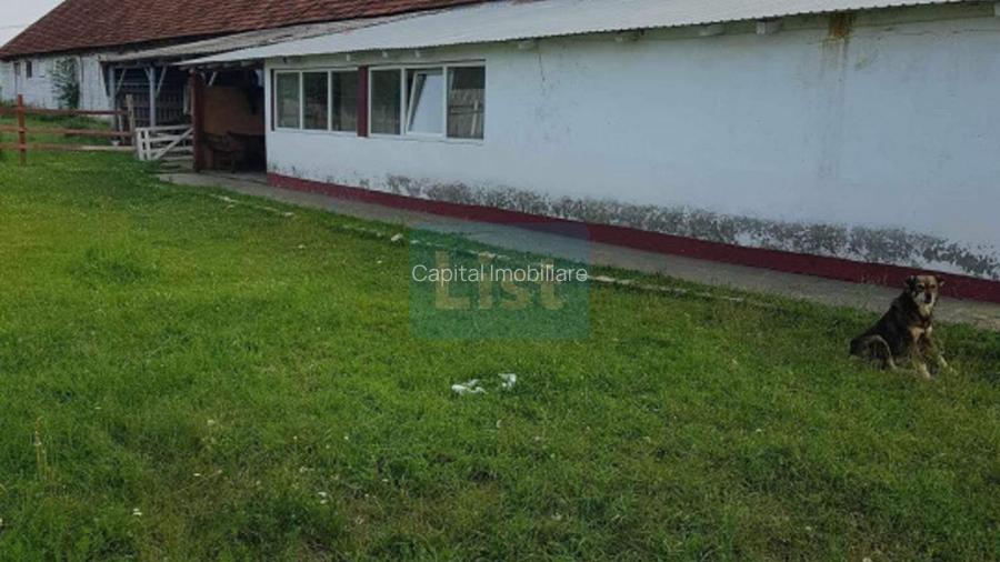 Ferma langa Oravita 5600 mp construiti si teren 24281 intravilan - 5