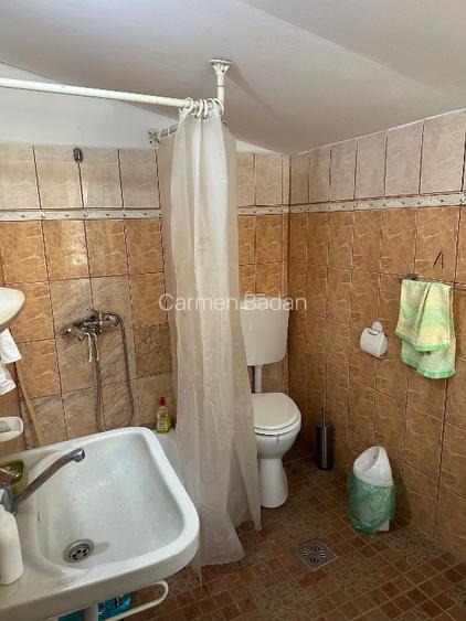 Casa batrineasca cu approx 2800 mp teren, vie, pomi fructiferi, zmeura, coacăze  - 4