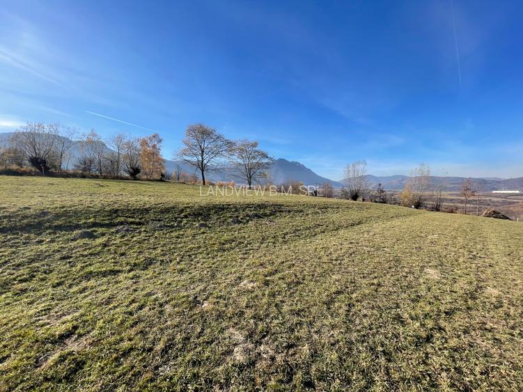 Teren intravilan intre 500 si 1000 mp   in zona Bran - 20