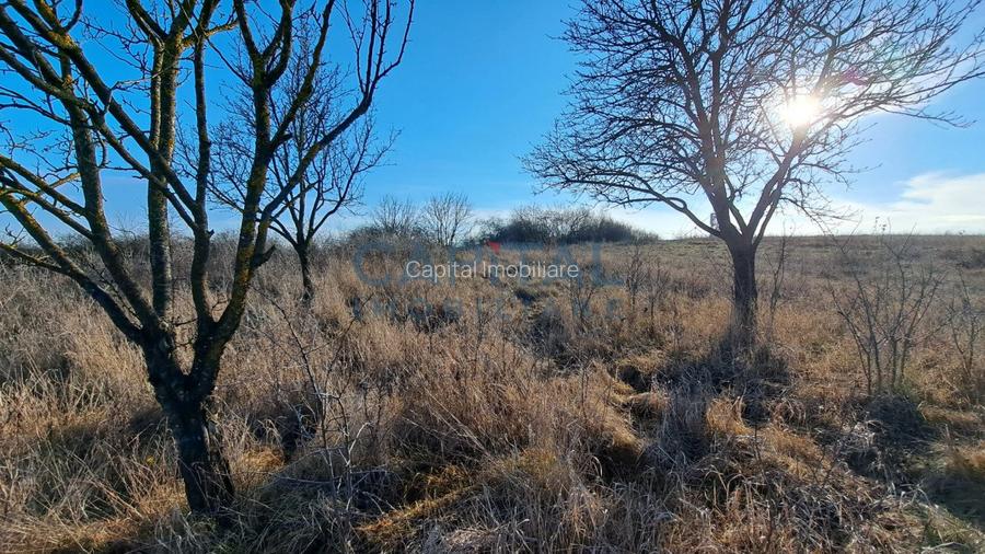 Teren 5800 mp, central Dezmir, panorama frumoasa, toate utilitatile. - 2