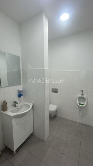 Hala + birouri in Parcul Industrial Roman pt. productie, depozitare, servicii - 6