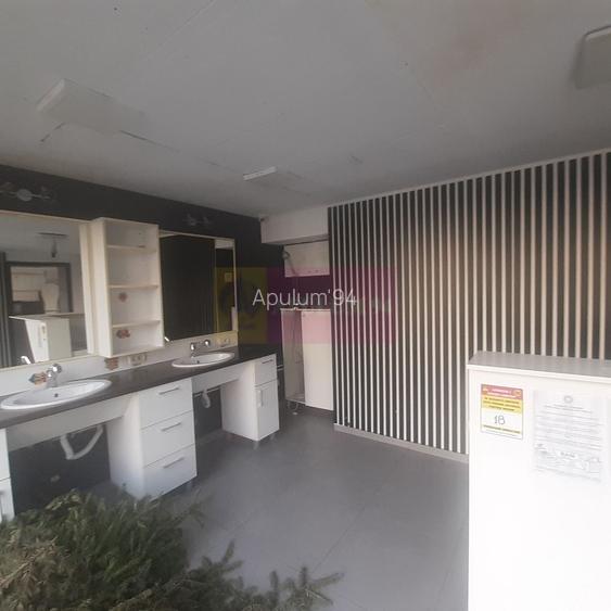 Spatiu Comercial Stradal Șoseaua Colentina zona Teiul Doamnei Suveica - 58