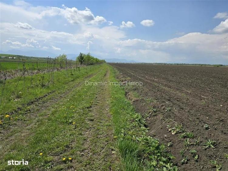 Oportunitate de investiție cu Exclusivitate! BOD, teren agricol! - 2