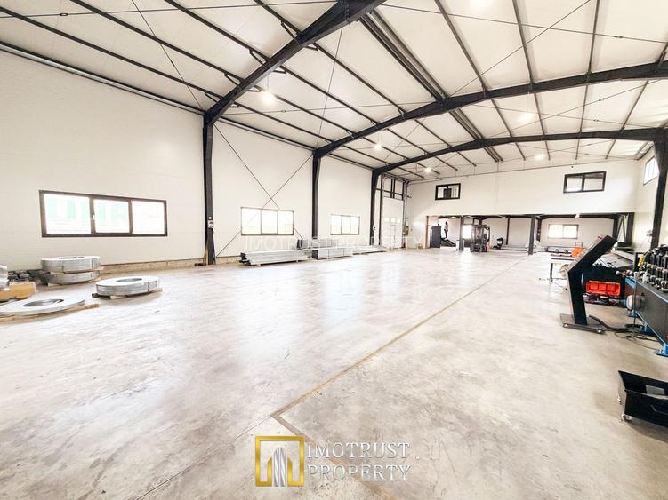 Hala industrială închirere – Vladimirescu, jud. Arad 500 mp - 3