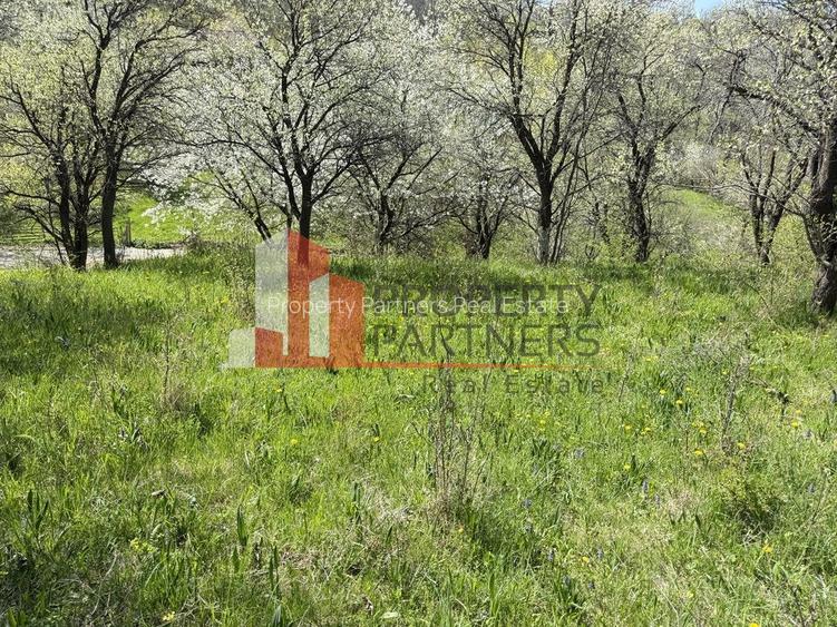 Teren 2500 mp Sohodol - 11