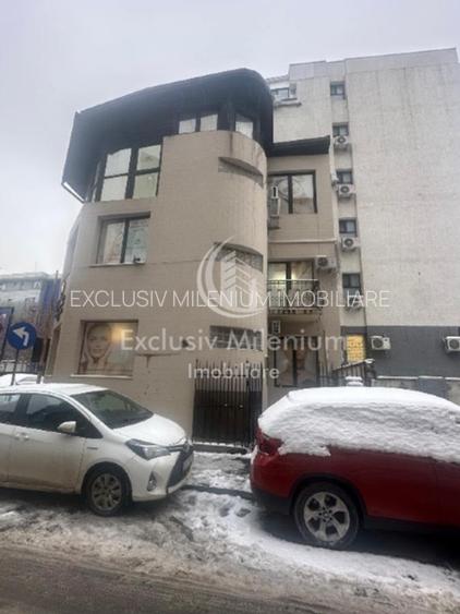 Victoriei Birouri /Vila Pasaj Basarab - Nicolae Titulescu Banu Manta - 12