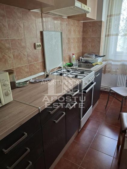 Apartament cu 2 camere de inchiriat,Circuvalatiunii, Timisoara - 4